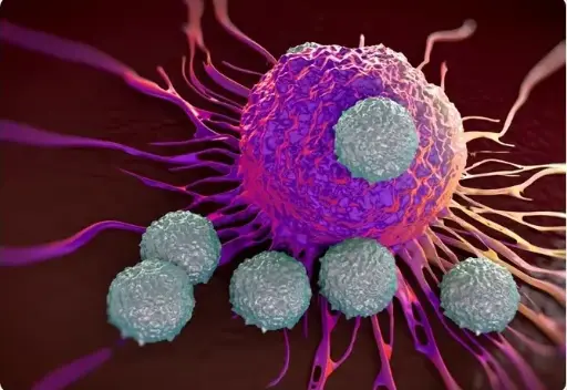 CAR T-Cell Therapy and Engineering the Immune System